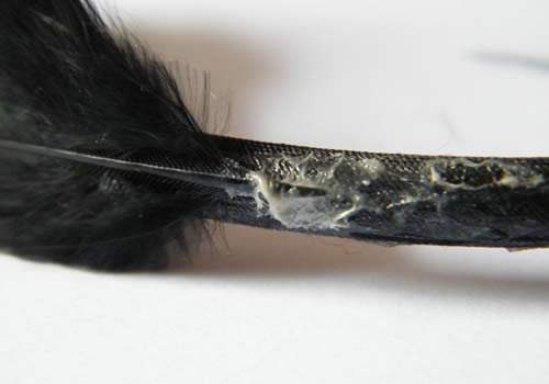 custo_plumes3