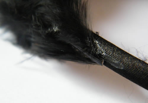 custo_plumes4