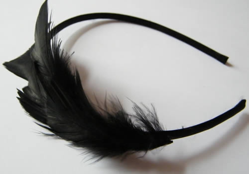 custo_plumes5