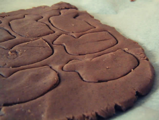 Sablés cacao (10)