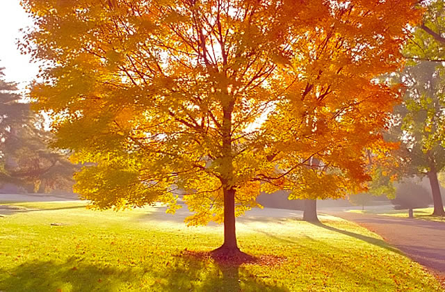 chansons pour aimer les beaux jours