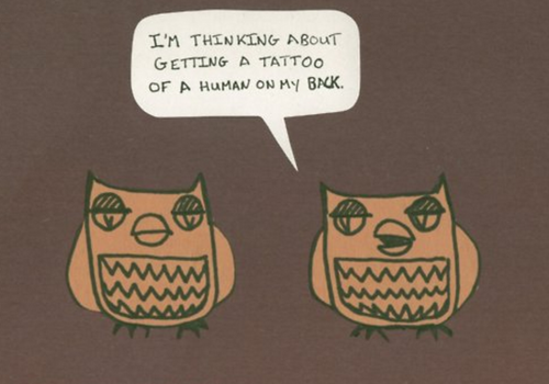 owl