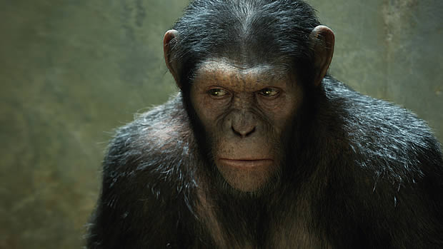 planete-des-singes-origines-cesar