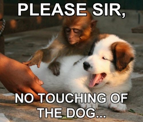 notouch