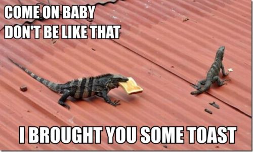 comeonbaby