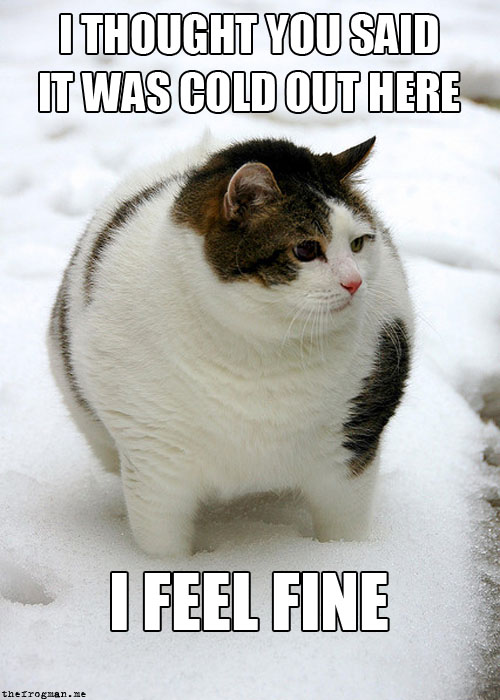 cold