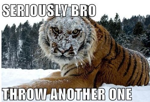 bro