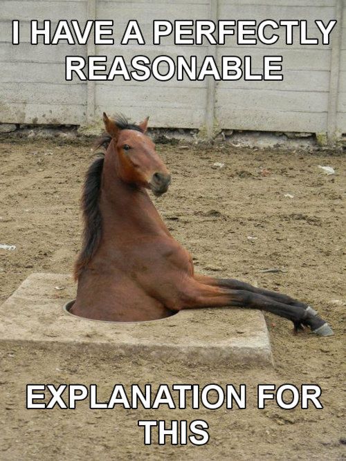 horse