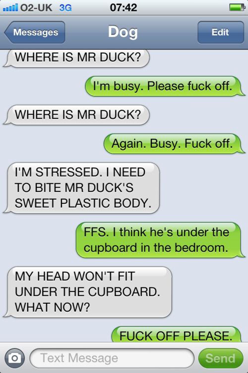 duck
