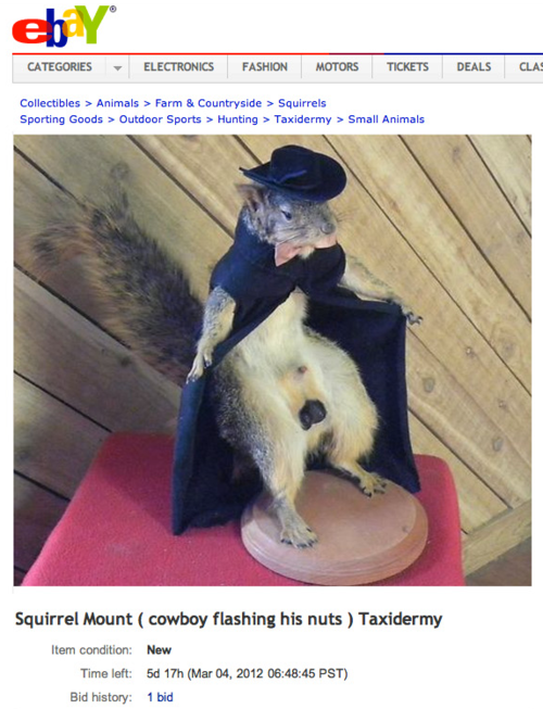 taxidermy