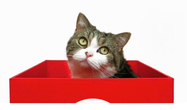 Maru2