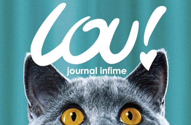 lou the dvd analyze essay lou the flick complaint essay
