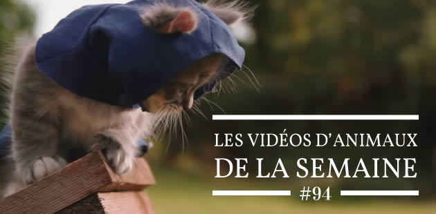 Les photos des membres des petits garçons
