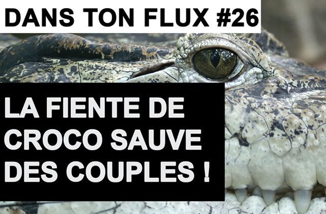 Dans Ton Flux #26 : « La fiente de croco sauve des couples ! »