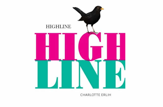 « Highline », l’expérience d’un petit roman étourdissant