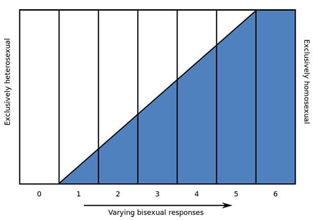 Orientation sexuelle: Hétéro Bisexuel Homosexuel Orientation sexuelle: Hétéro Bisexuel Homosexuel
