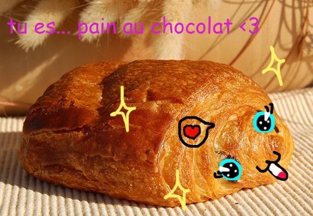 test-profil-pain-chocolat.jpg