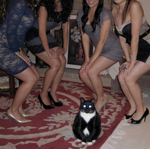 chatperv