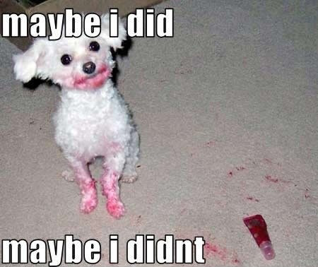 maybe
