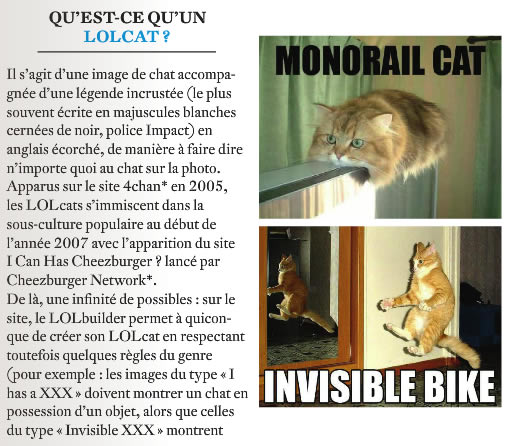 lolcat