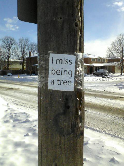tree