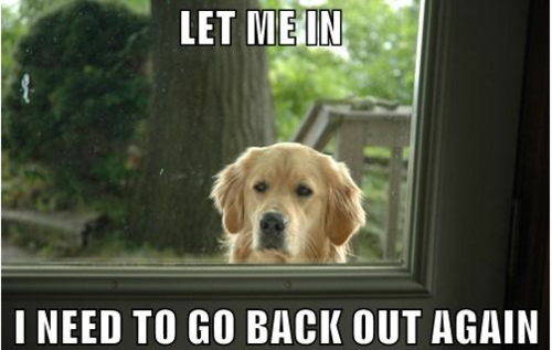 letmein