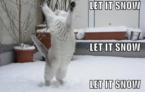 snowcat