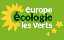 Interview de Camille, militante pour Europe Écologie – Les Verts