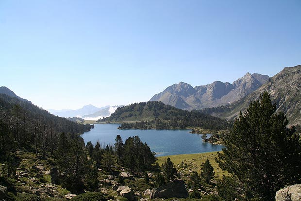 pyrenees