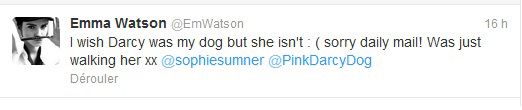 emma-watson-chien-teint-rose2
