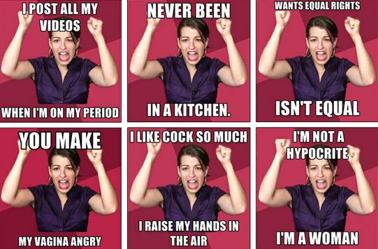 anita-sarkeesian-laci-green-harcelement1
