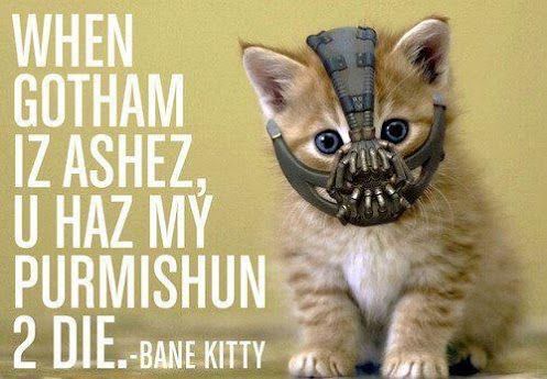 banekitty
