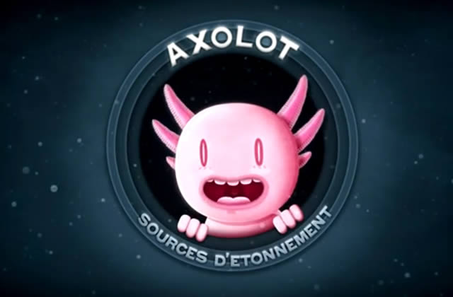 axolot-science-fun-youtube.jpg