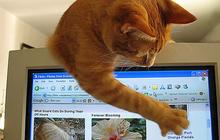 10 trucs (plus ou moins) intelligents à faire quand on n’a pas Internet