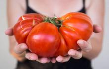 Comment se mettre au bio quand on est fauchée ?