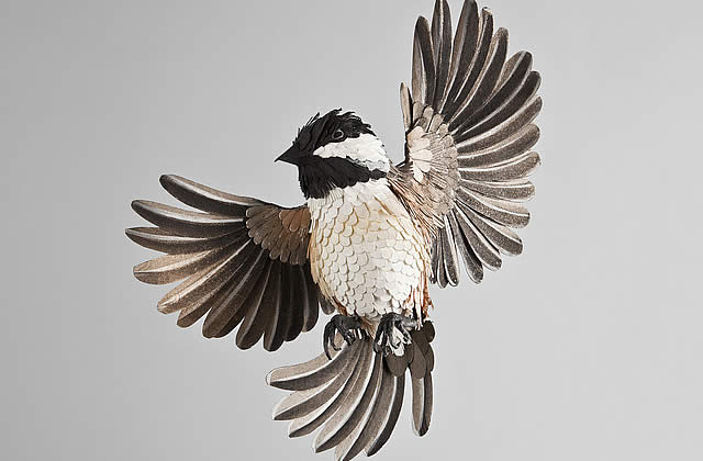 diana beltran herrera sculptures oiseaux papier