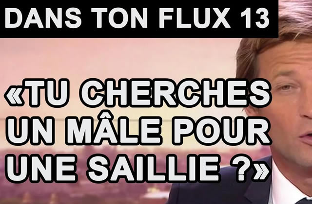 Dans ton flux n°13 – « Tu cherches un mâle pour une saillie ? »