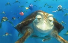 La Grande Barrière de corail, vue d’une tortue