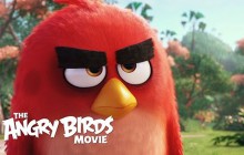 « Angry Birds » le film a sa bande-annonce officielle !