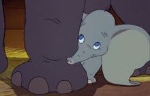 Les éléphants dans la pop culture, ces animaux gentils et rigolos