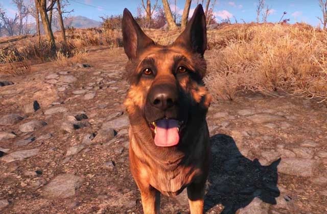 Connais-tu bien les chiens dans les jeux vidéo ? — Quizz à poils longs