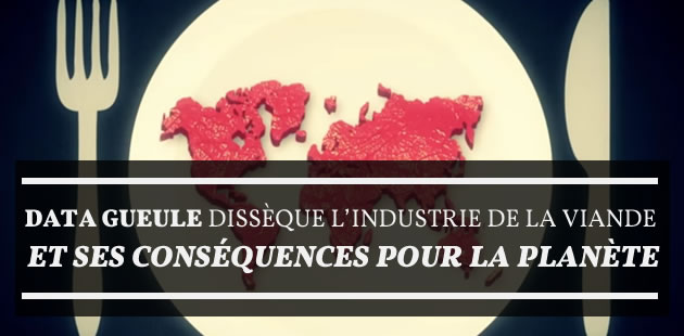 big-datagueule-viande-climat