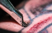 Ce qu’il faut savoir avant le premier tatouage
