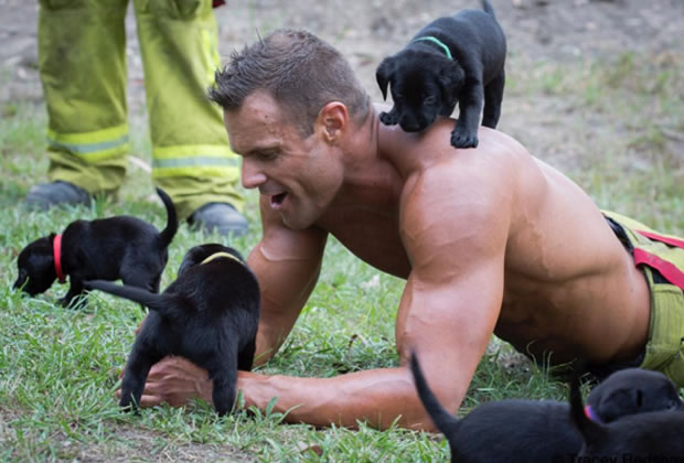 Des Muscles Et Des Chiots Dans Le Calendrier 17 Des Pompiers Australiens
