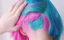 Le « rainbow cat », la nouvelle tendance capillaire probablement inspirée par Voldemort
