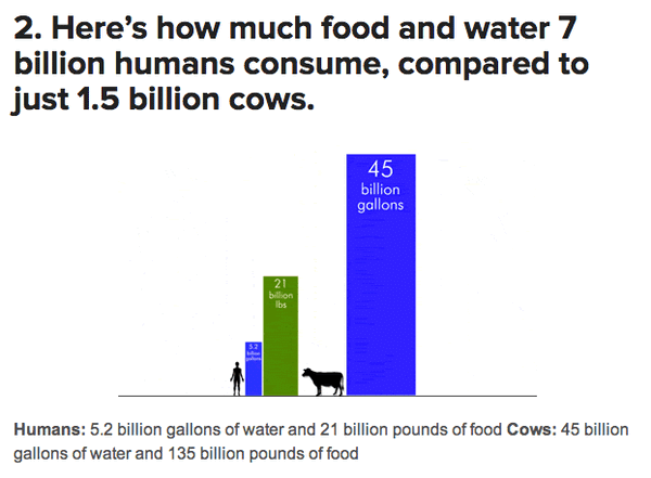 cowspiracy documentaire devenir végétarien