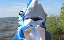 Le requin qui danse sur du Shakira, meilleure vidéo de la décennie (au moins)