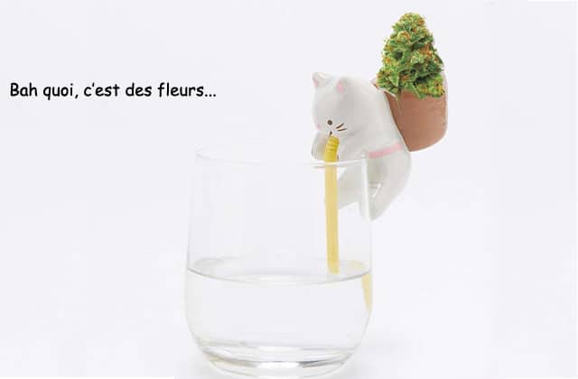 Un Mini Pot De Fleurs Mignon Comme Pas Permis La Ouicheliste