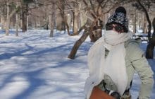 Mon PVT à Montréal, au pays de la gentillesse et du féminisme — Carte postale du Canada