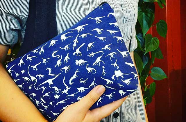 La jolie histoire de la pochette dinosaure que tout Internet s’arrache